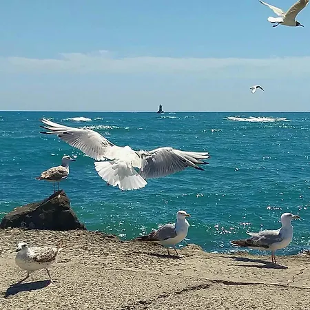 бриз 1 Appartement