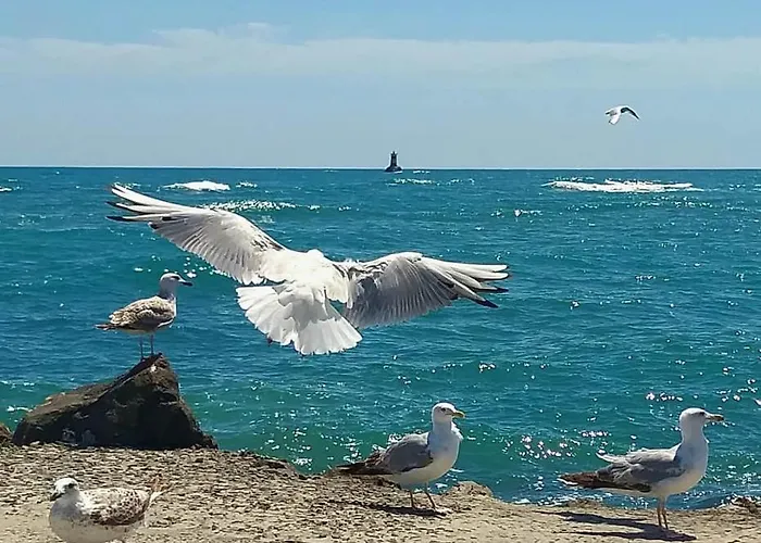 бриз 1 Apartament